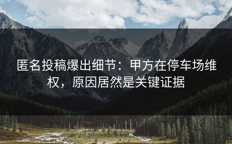 匿名投稿爆出细节：甲方在停车场维权，原因居然是关键证据
