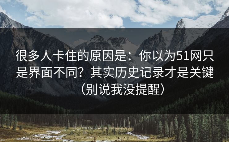 很多人卡住的原因是:你以为51网只是界面不同?其实历史记录才是关键(别说我没提醒)