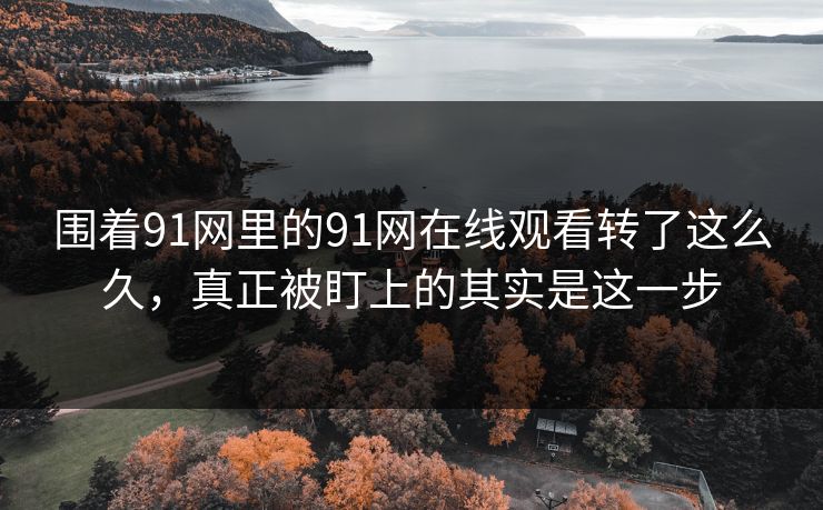 围着91网里的91网在线观看转了这么久，真正被盯上的其实是这一步