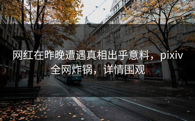 网红在昨晚遭遇真相出乎意料，pixiv全网炸锅，详情围观